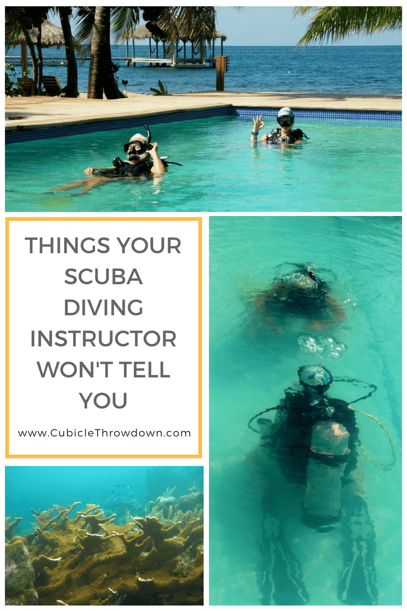 Things your scuba diving instructor will never tell you.... - Cubicle  Throwdown